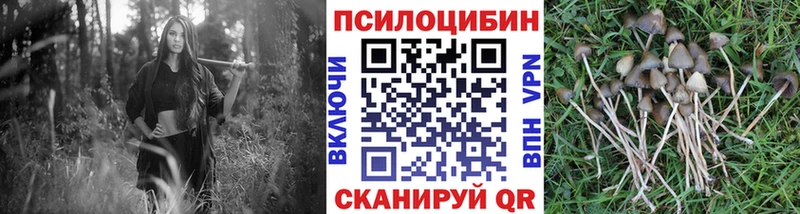 Галлюциногенные грибы прущие грибы  Рыльск 